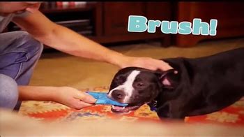 Brush 'N Play TV Spot, 'Sparkling Smiles' created for Brush 'N Play