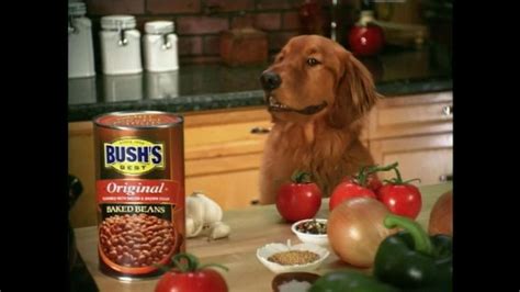 Bushs Best Beans TV commercial - Secret Ktichen