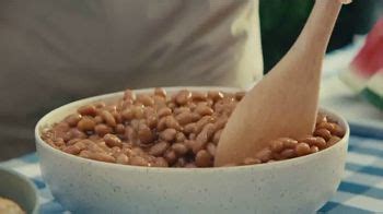 Bushs Best Brown Sugar Hickory TV commercial - Bean Summer