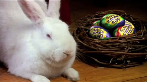 Cadbury TV Spot, 'Bunny Auditions'