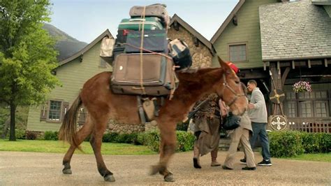 Capital One Spark Business TV Spot, 'Bjorn's Bed and Breakfast' created for Capital One (Credit Card)