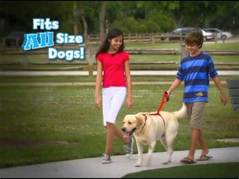 Care.com TV Spot, 'Pets Are Family' created for Care.com
