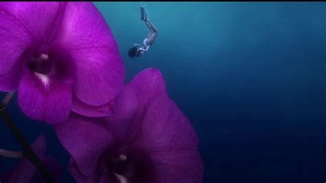 Cayman Islands Department of Tourism TV commercial - Dream: Snorkel in Flowers