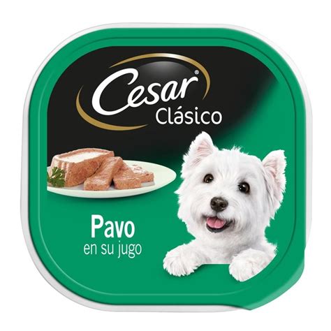 Cesar TV Spot, 'Comida real para perros'