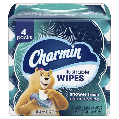 Charmin Flushable Wipes commercials