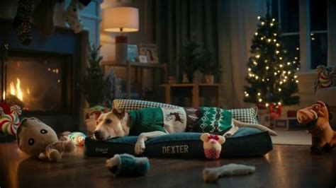 Chewy.com TV Spot, 'Black Friday Deals: 50 Off' created for Chewy