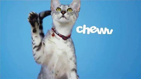 Chewy.com TV Spot, 'Dance' featuring Gina Jackson