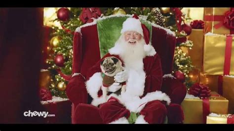Chewy.com TV Spot, 'Holidays: All I Want for Christmas'