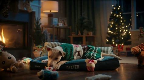Chewy.com TV Spot, 'The Goods: Cats' created for Chewy