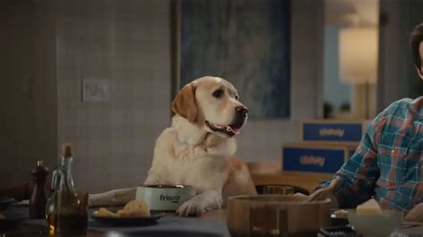 Chewy.com TV commercial - The Goods: Dog