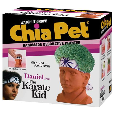 Chia Pet Daniel from The Karate Kid commercials