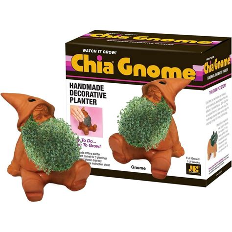 Chia Pet Gnome