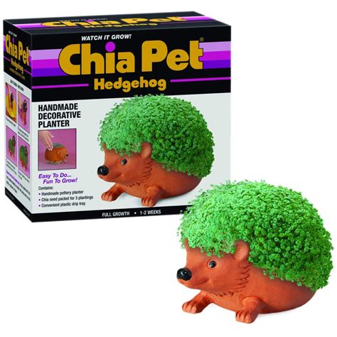 Chia Pet Hedgehog commercials