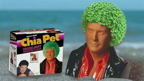 Chia Pet TV commercial - Celebrate with Your Favorites: David Hasselhoff, Willie Nelson, Bob Ross