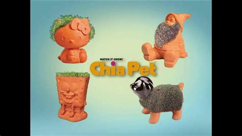 Chia Pet TV commercial - Gnome, Hello Kitty and Madagascar