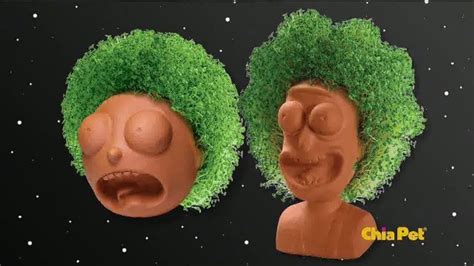 Chia Pet TV Spot, 'Rick and Morty, Stranger Things, Deadpool and Bob Ross' created for Chia Pet