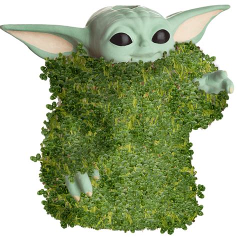 Chia Pet The Child Using The Force commercials