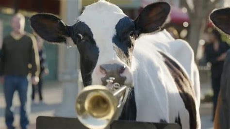 Chick-fil-A Grilled Chicken Nuggets TV commercial - Talented Cows