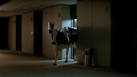 Chick-fil-A TV Spot, 'Eat Mor Chikin' created for Chick-fil-A