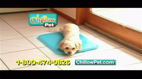 Chillow Pet TV commercial