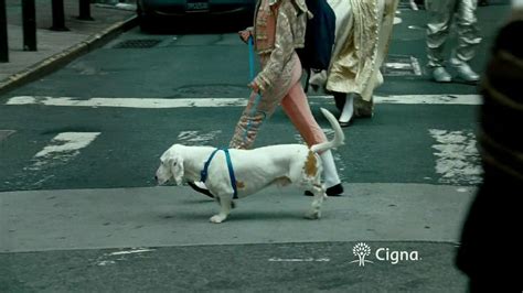 Cigna Go You TV Spot, 'Costumes'