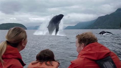 Citi AAdvantage TV Spot, 'Whale Watching'