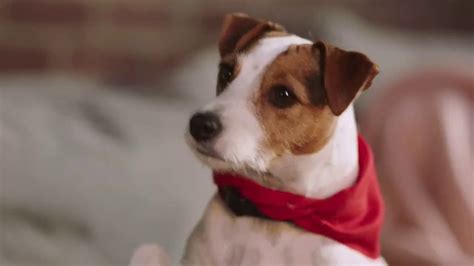 Coffee-Mate TV commercial - Mans Best Friend