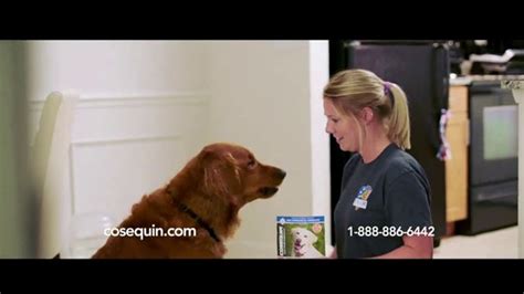 Cosequin TV commercial - Joint Health for All Dogs