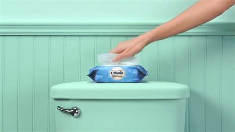 Cottonelle Flushable Wipes TV Spot, 'DownThereCare: Presentation' created for Cottonelle