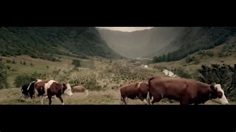Courtyard Marriott TV commercial - Herding Cows
