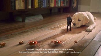 Credelio TV commercial - Tiny Defender of Dogs