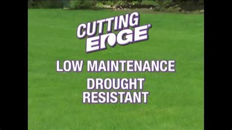 Cutting Edge Grass Seed TV Spot