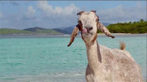 DIRECTV TV Spot, 'Hannah Davis and Her Goat' featuring Harry Prichett