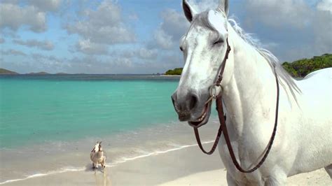 DIRECTV TV commercial - Hannah Davis and Her Horse