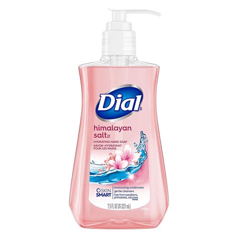 Dial Skin Therapy Himalayan Pink Salt Hand Soap logo