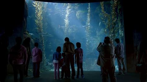 Disney Parks TV Spot, 'Disney Side: Under the Sea'