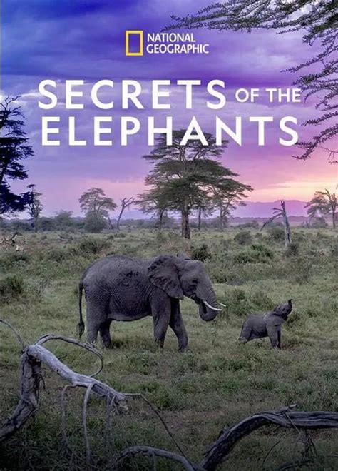 Disney+ TV Spot, 'Secrets of the Elephants' Featuring Ruby Rose Turner, Kyliegh Curran