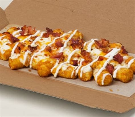 Domino's Cheddar Bacon Loaded Tots commercials