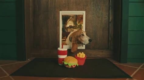 DoorDash DashPass TV commercial - DashPass Pup