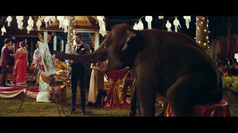 Dos Equis TV commercial - Addressing the Elephant in the Room