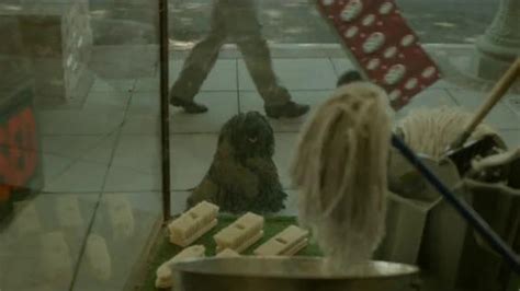 Dr Pepper TV commercial - Mop Dog