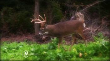 Drury Outdoors DeerCast TV Spot, 'Here's to the Perfect Day of Hunting'