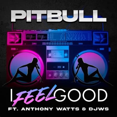 Echelon Fitness Big Holiday Sale TV Spot, 'I Feel Good' Featuring Pitbull featuring Pitbull
