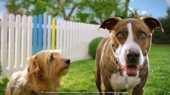 Elanco Companion Animal Health TV commercial - Holidays: Animal Health Challenges