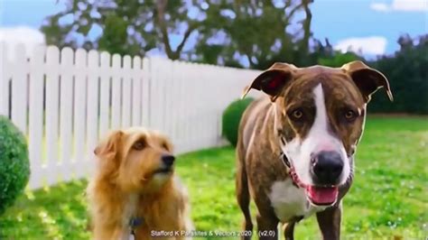 Elanco Companion Animal Health TV Spot, 'Quality Is at the Front'