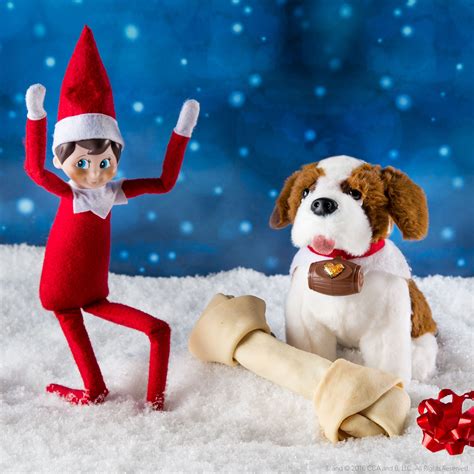 Elf on the Shelf Elf Pets: Saint Bernard Pup logo