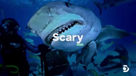 Esurance TV Spot, 'Discovery Channel Promo: Shark Week' featuring Dennis Quaid