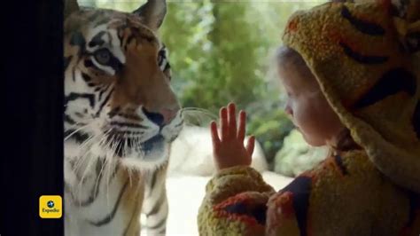 Expedia TV commercial - Tiger Costume