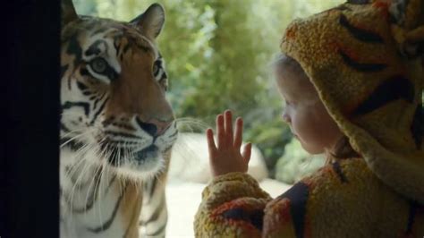 Expedia TV Spot, 'Zoo' featuring Aaron Gaffey