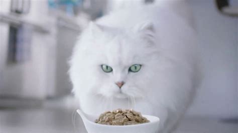 Fancy Feast Creamy Delights TV Spot, 'Just the Right Touch'
